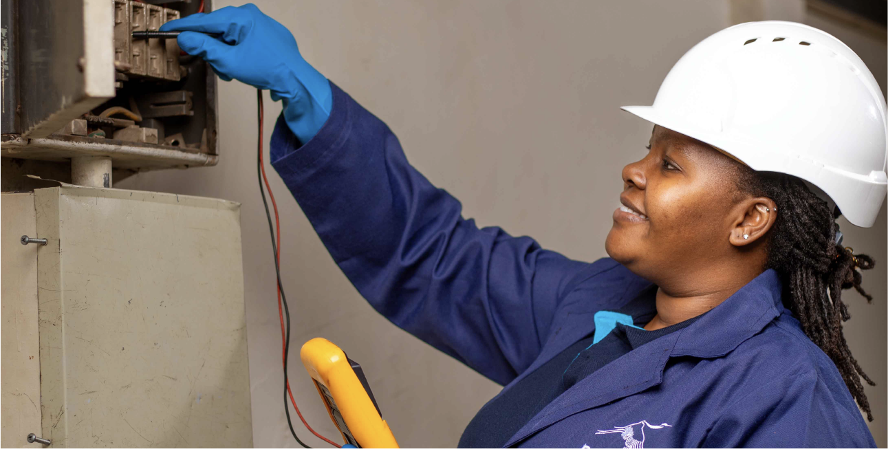 Electrical Systems